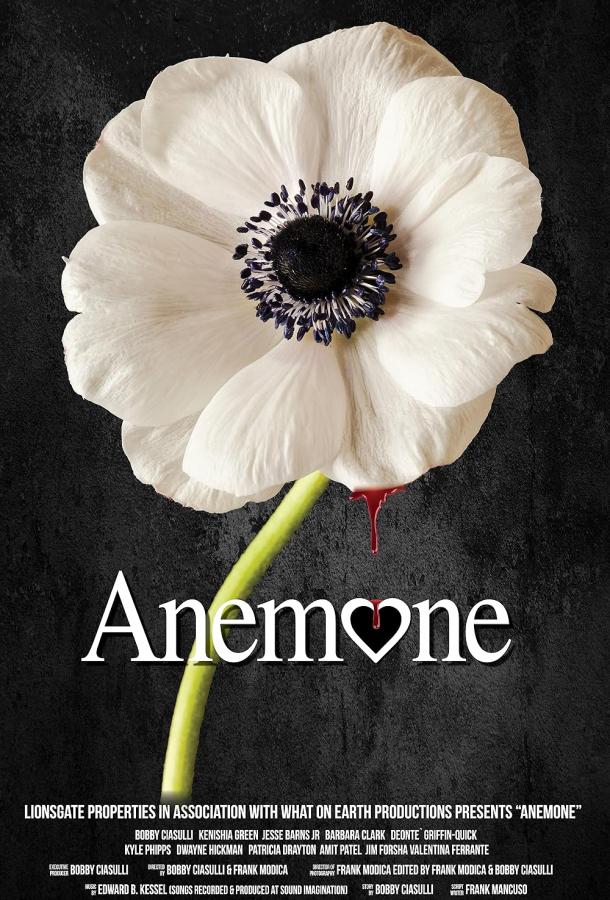 Anemone