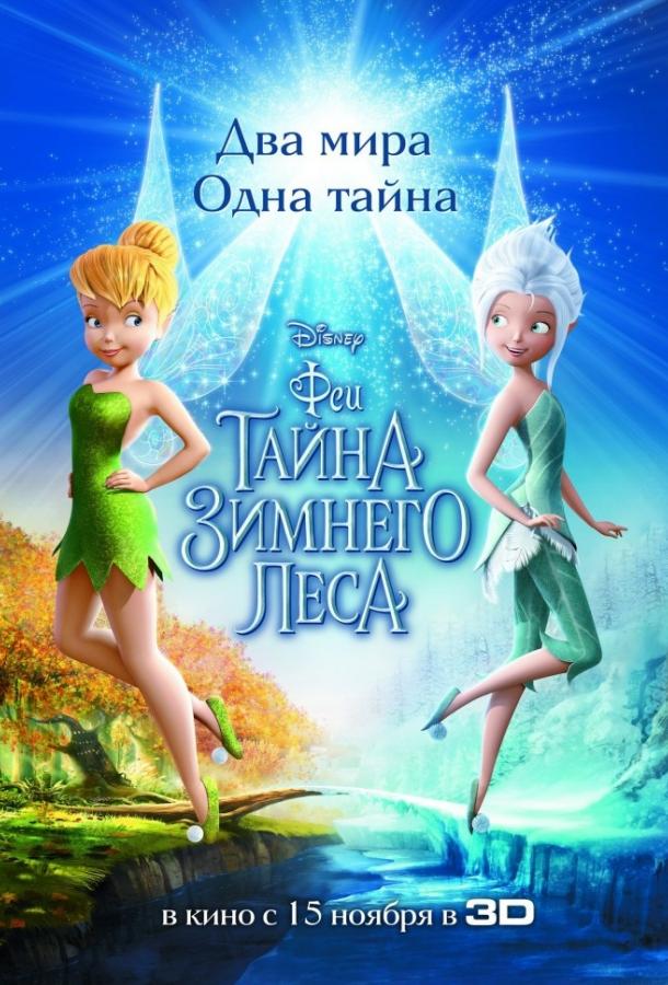 Феи: Тайна зимнего леса (2012)