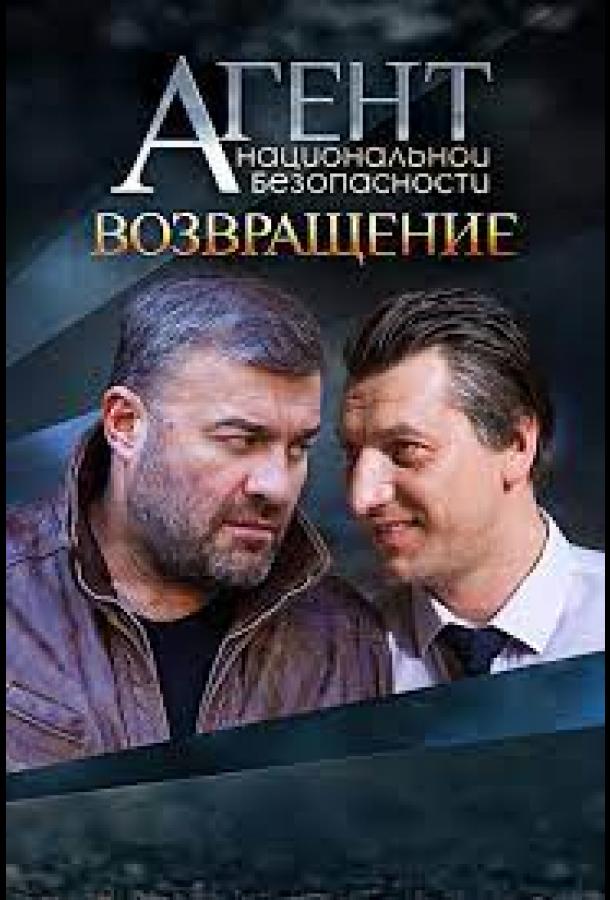 Агент национальной безопасности. Возвращение (2019)