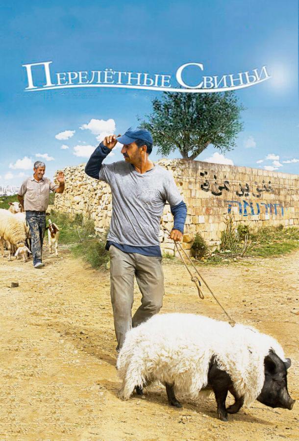 Перелетные свиньи (2011)