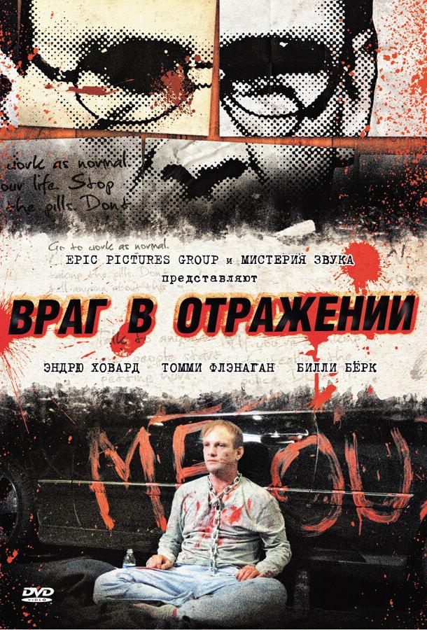 Враг в отражении (2010)