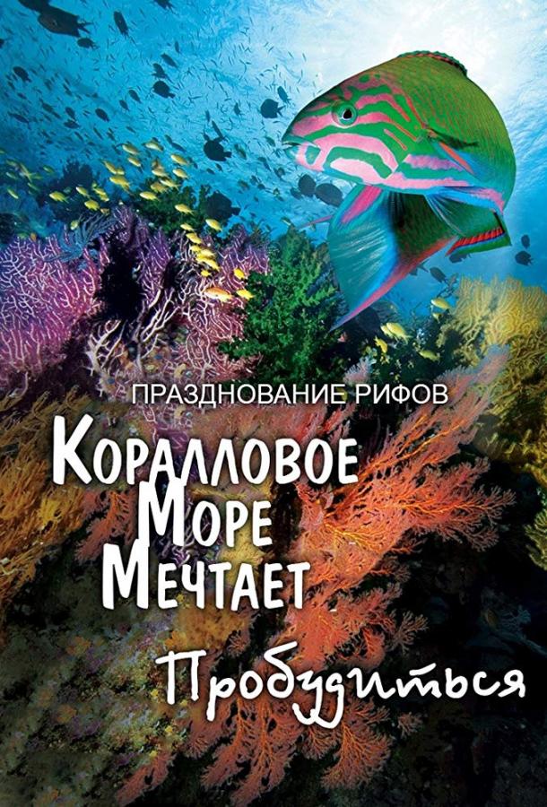 Грёзы Кораллового моря: Пробуждение (2009)