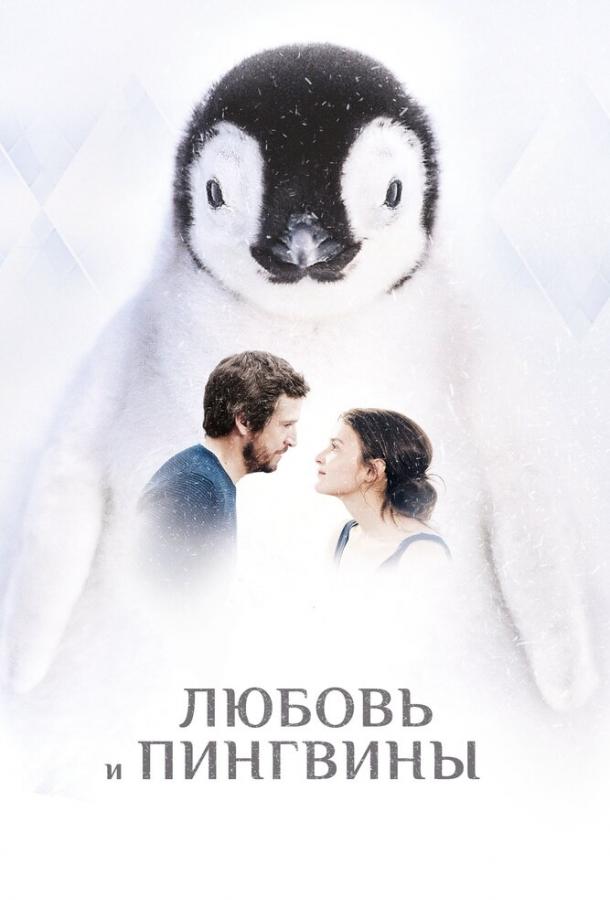 Любовь и пингвины (2016)